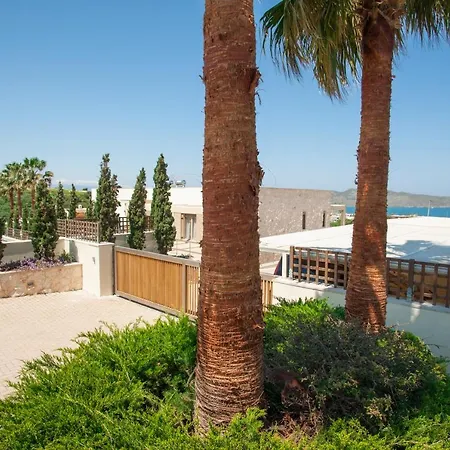 Villa Luxury 6-bedroom With Private Pool- Prigipessa Chania (Crete)